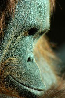 regard regardez-moi